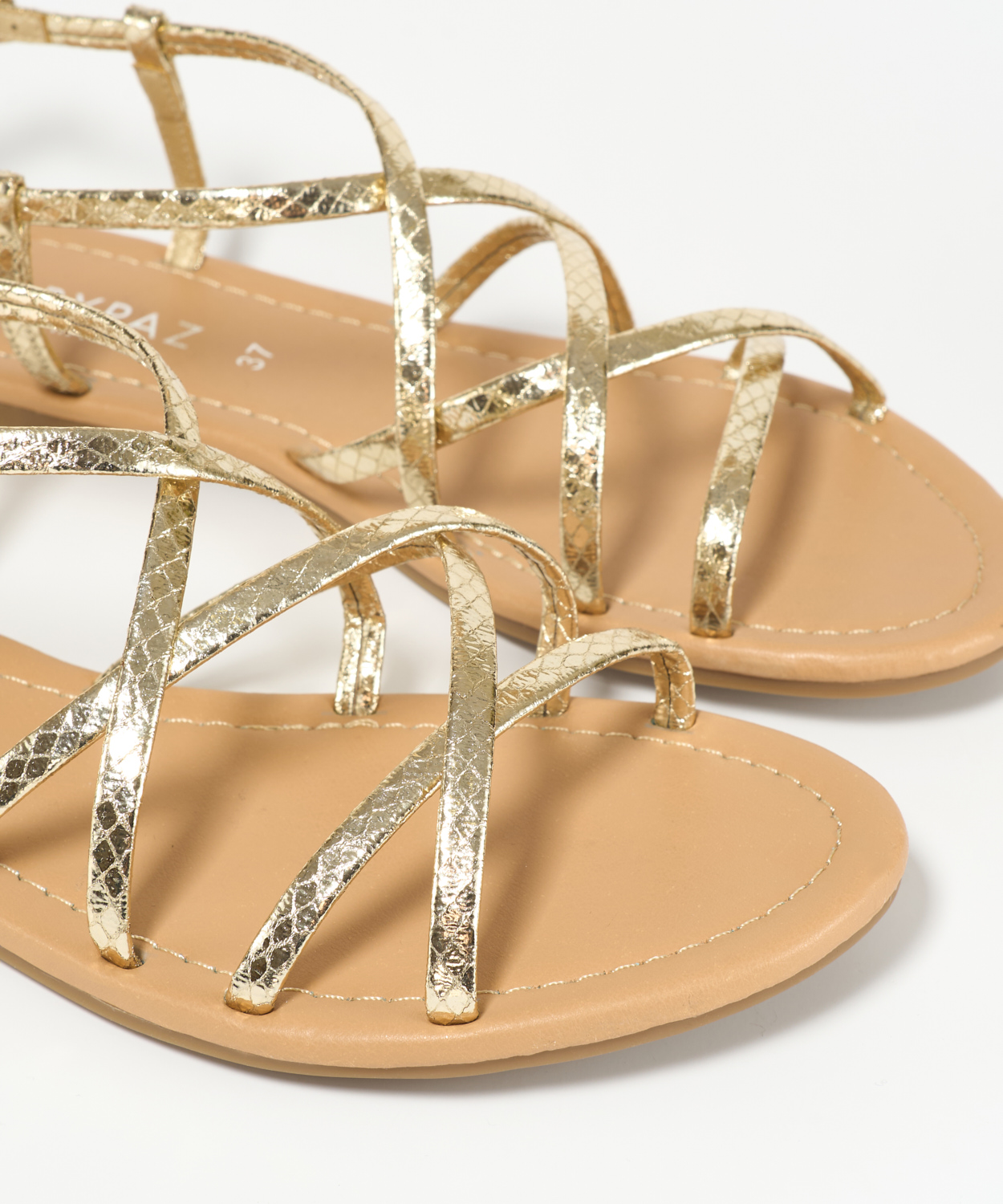 Sand&aacute;lia rasa multitirras image number null